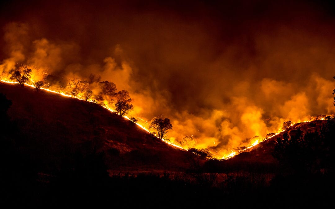 Get Your Property Bushfire Ready with this Guide